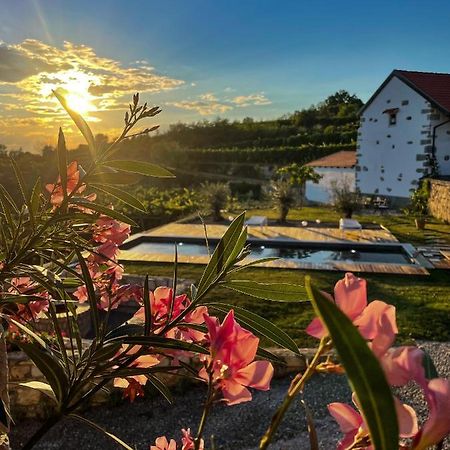 Гостевой дом Skerlj Wine Estate Tomaj Экстерьер фото