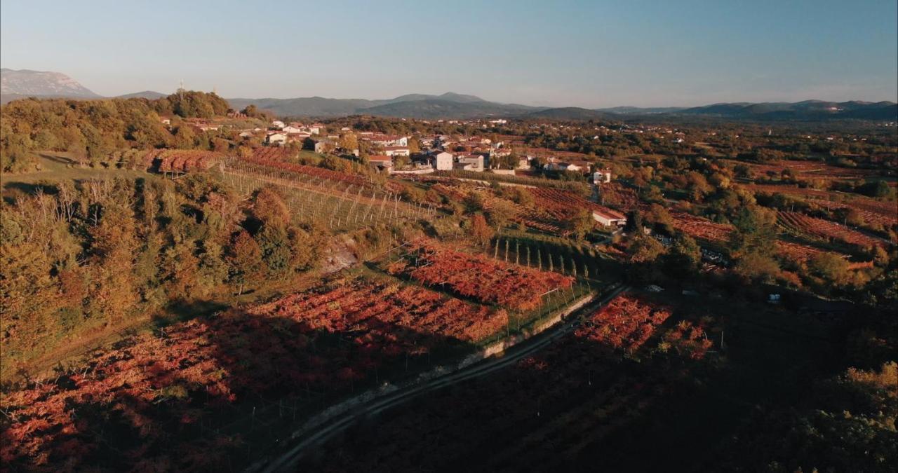 Гостевой дом Skerlj Wine Estate Tomaj Экстерьер фото