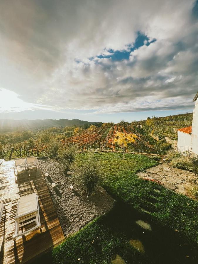 Гостевой дом Skerlj Wine Estate Tomaj Экстерьер фото