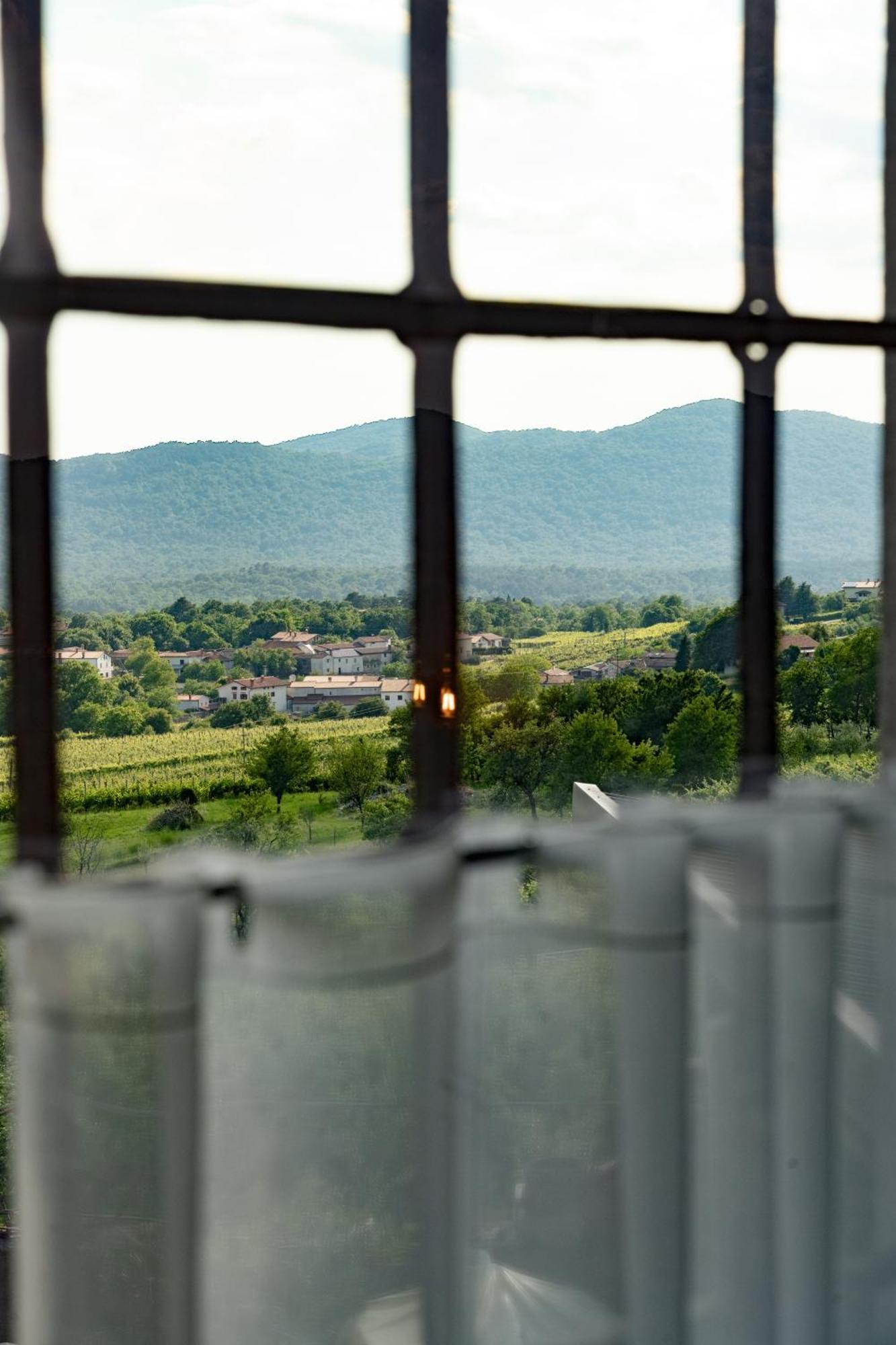 Гостевой дом Skerlj Wine Estate Tomaj Экстерьер фото
